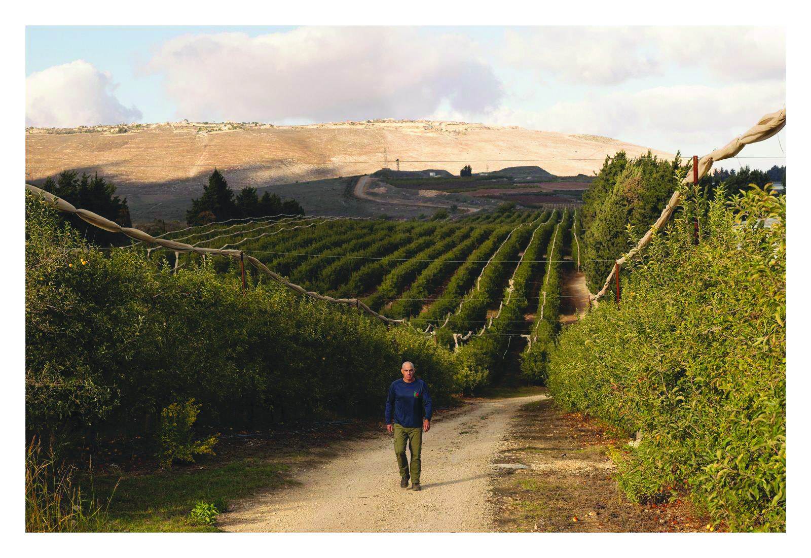 תמונה יראון2