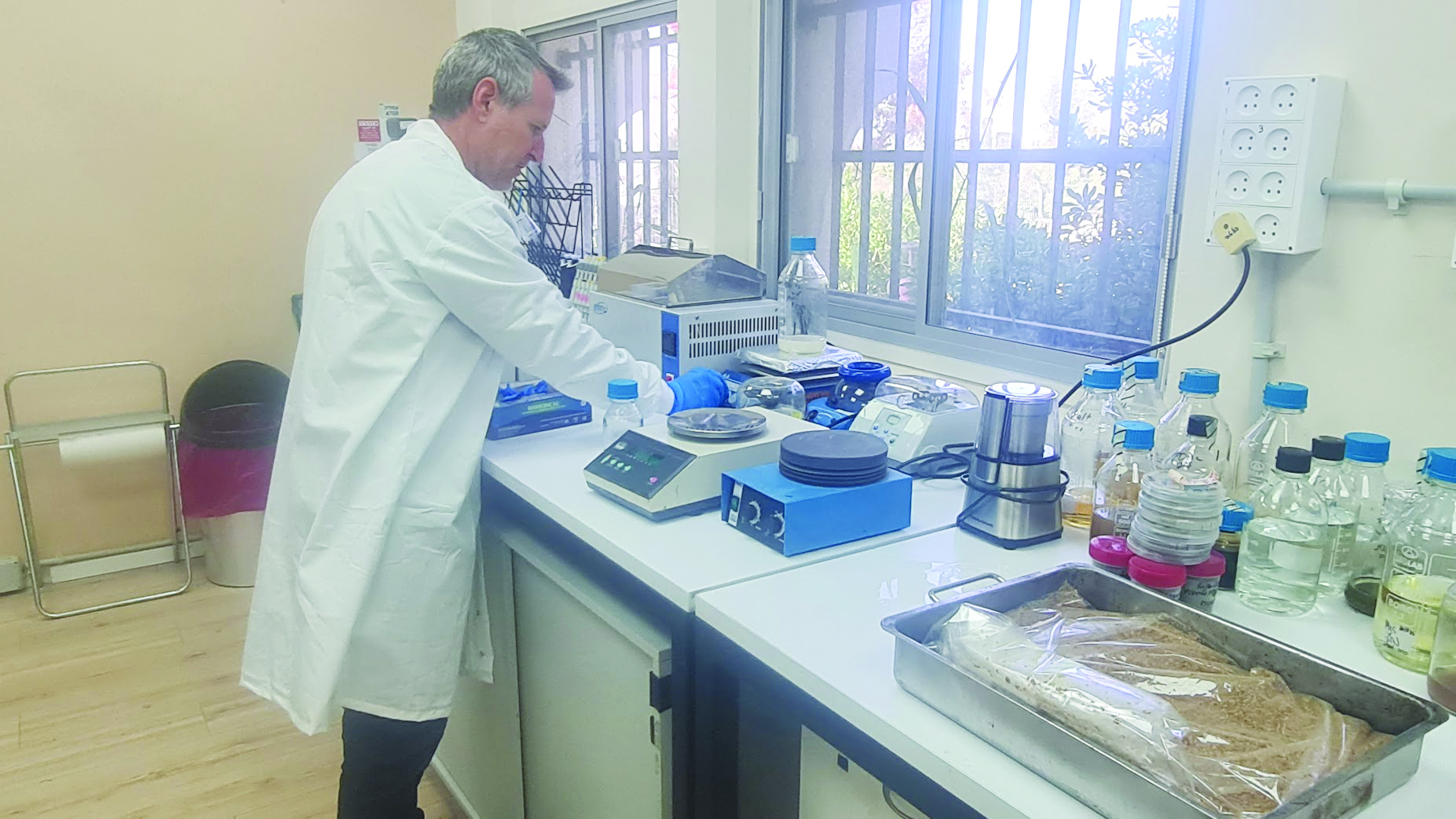 תמונה פאנגיט1