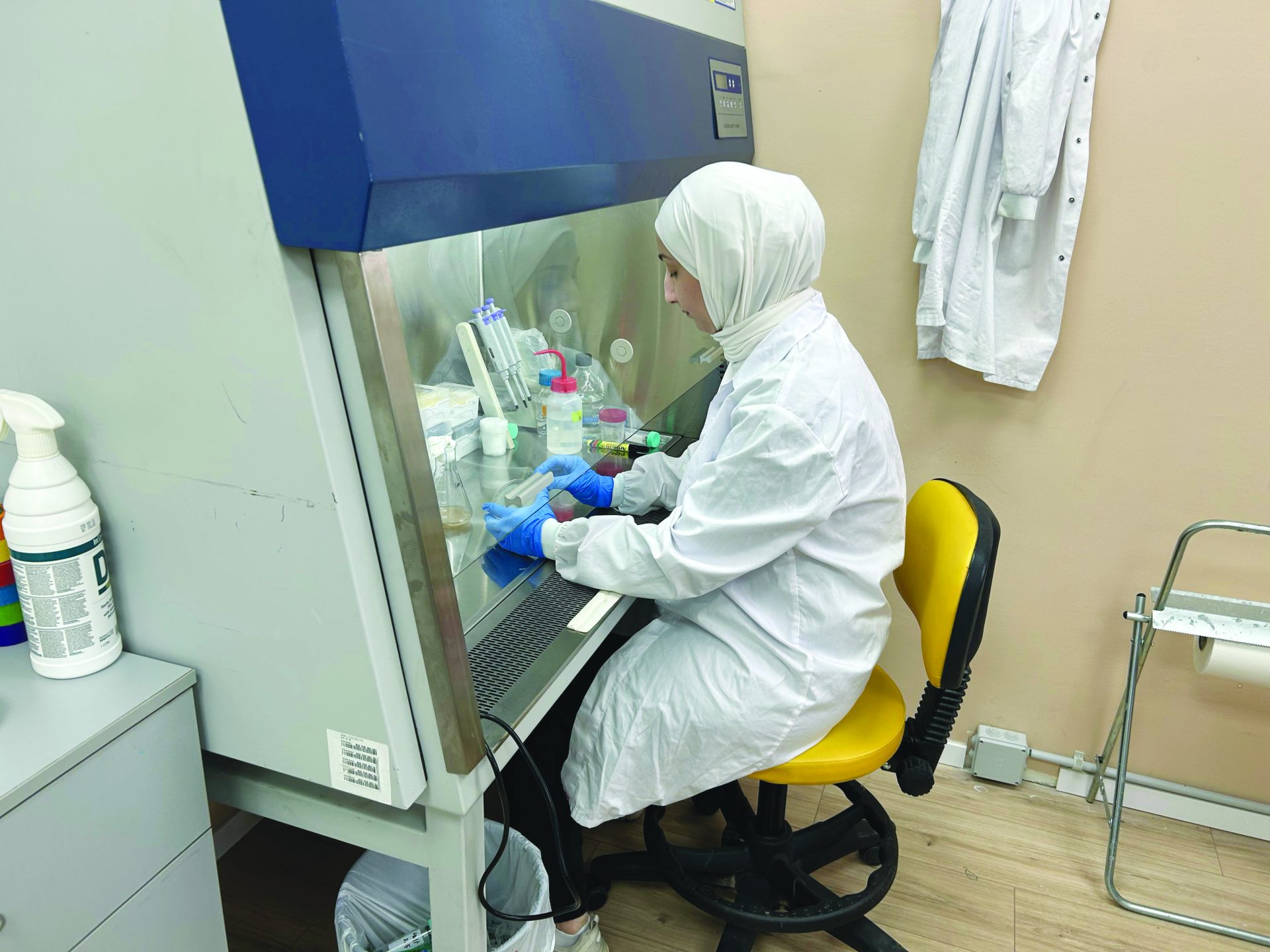 תמונה פאנגיט3