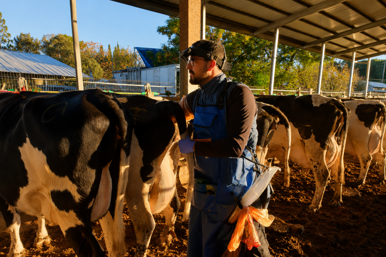ChatGPT Image May 28, 2026, 11 25 38 AM
