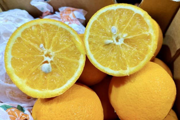 PushpbhujCitrus3 תפוזי וןלנסיה ממצרים בהודו