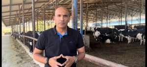 עמית יפרח (1)
