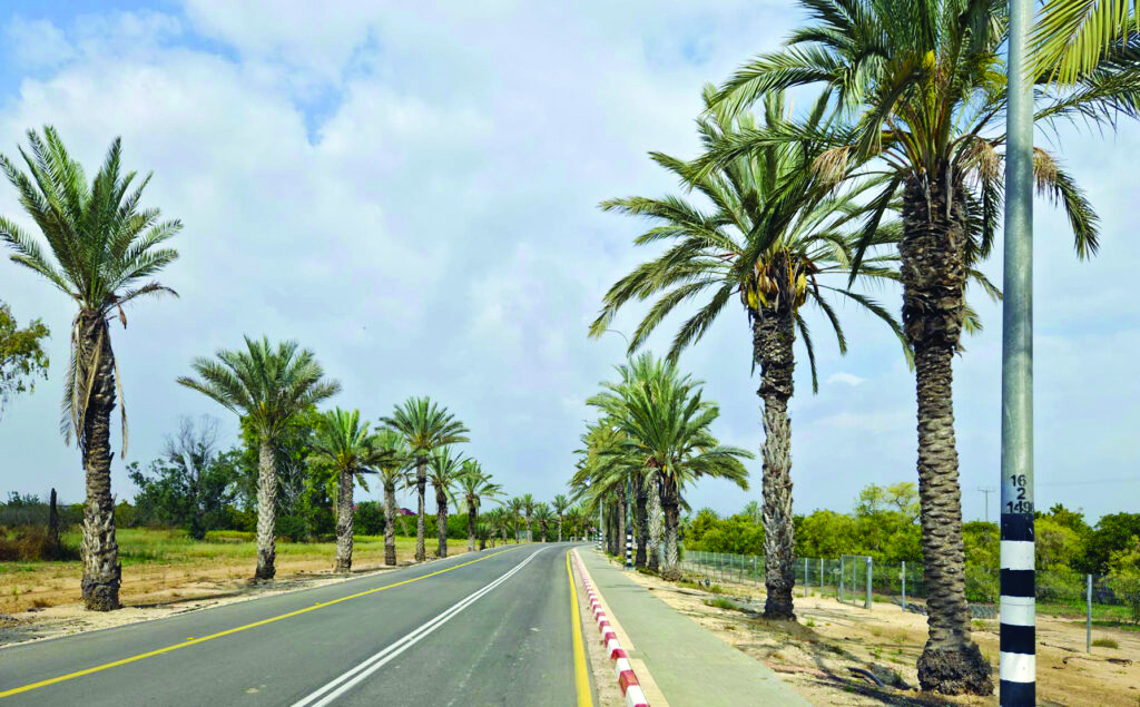 תמונה 2 image 1778149185 1024x635
