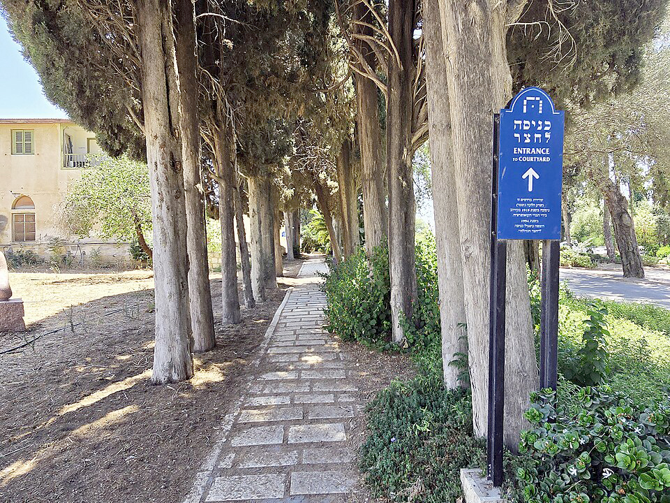 תמונה 3 image 1778149349