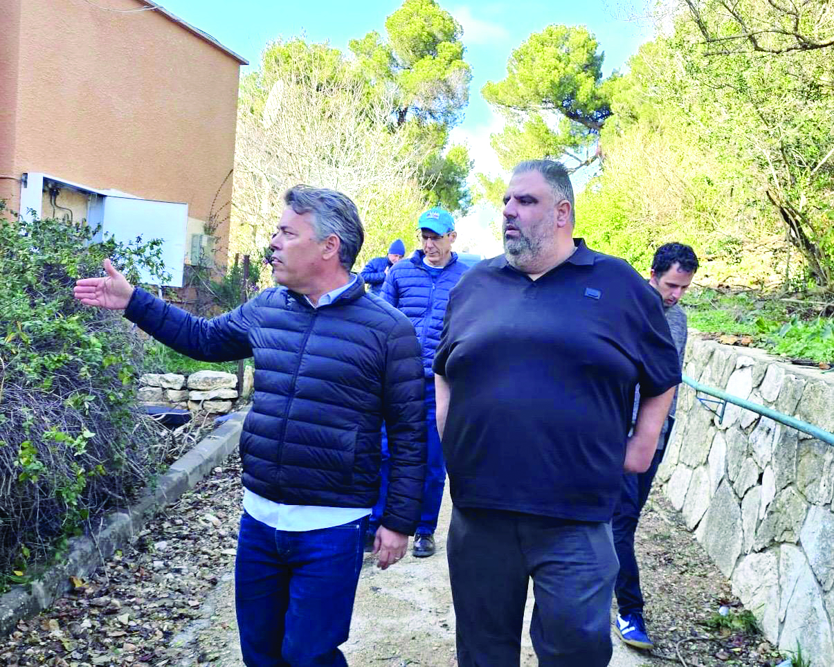 תמונה 5 image 1768473873