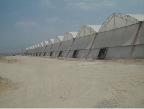 Picture1