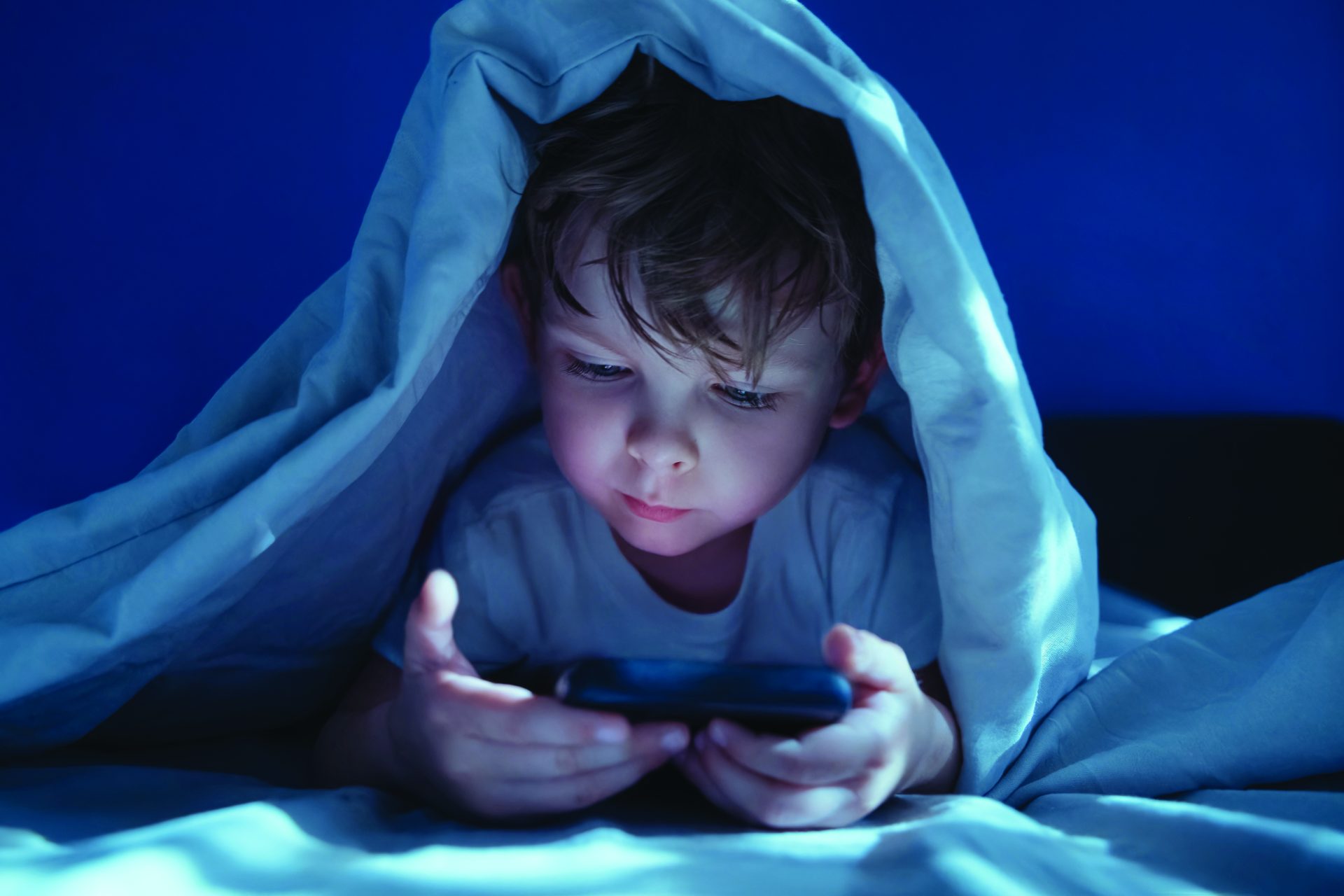 shutterstock 2679187811