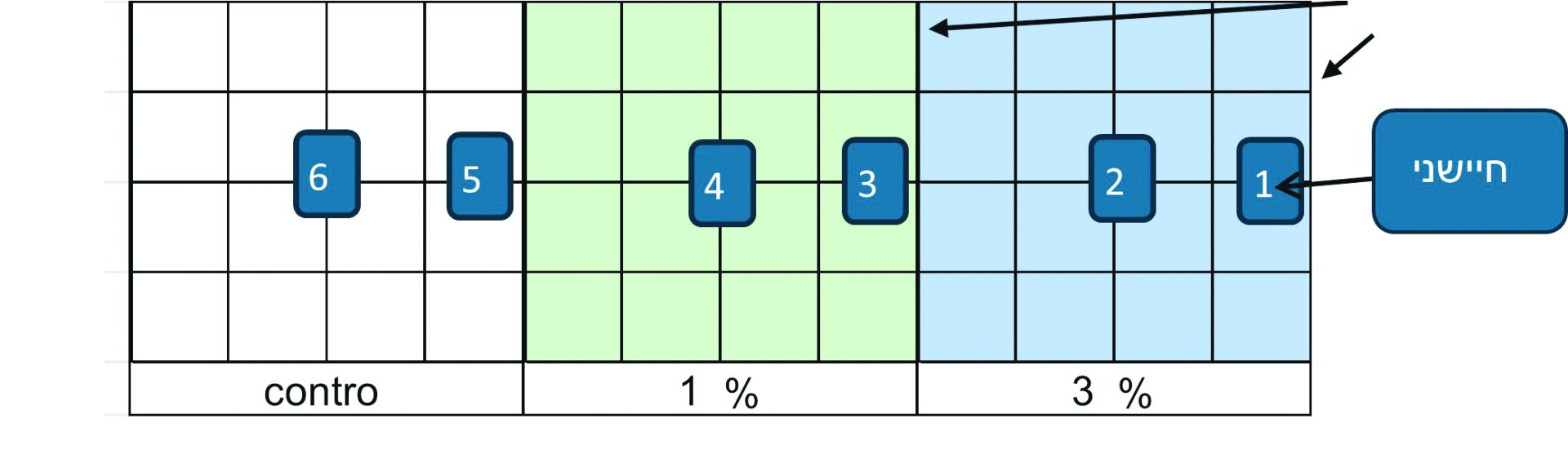 איור 1