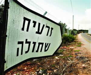 כביש הצפון