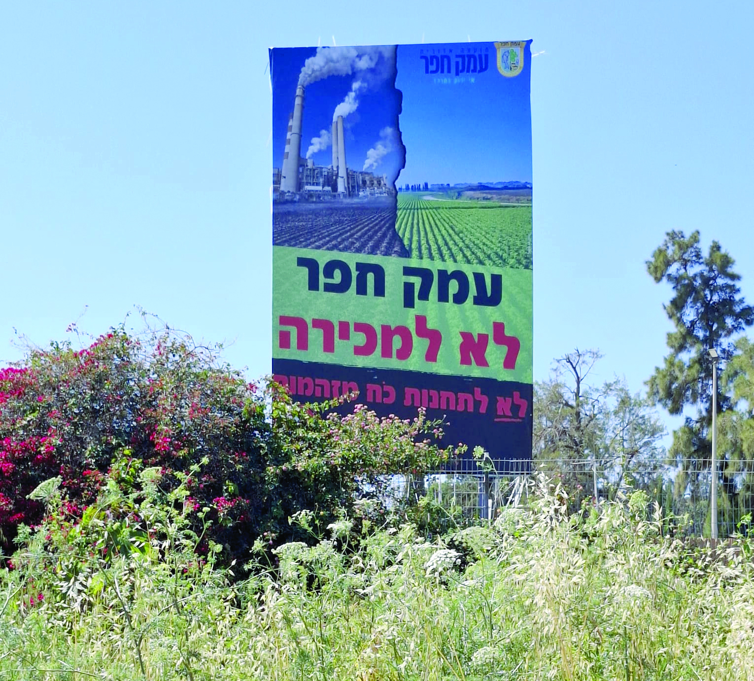 תמונה 1 698483878 1432588592228409 3016848319907245961 n 1