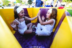 תמונה 1 Dolav 339