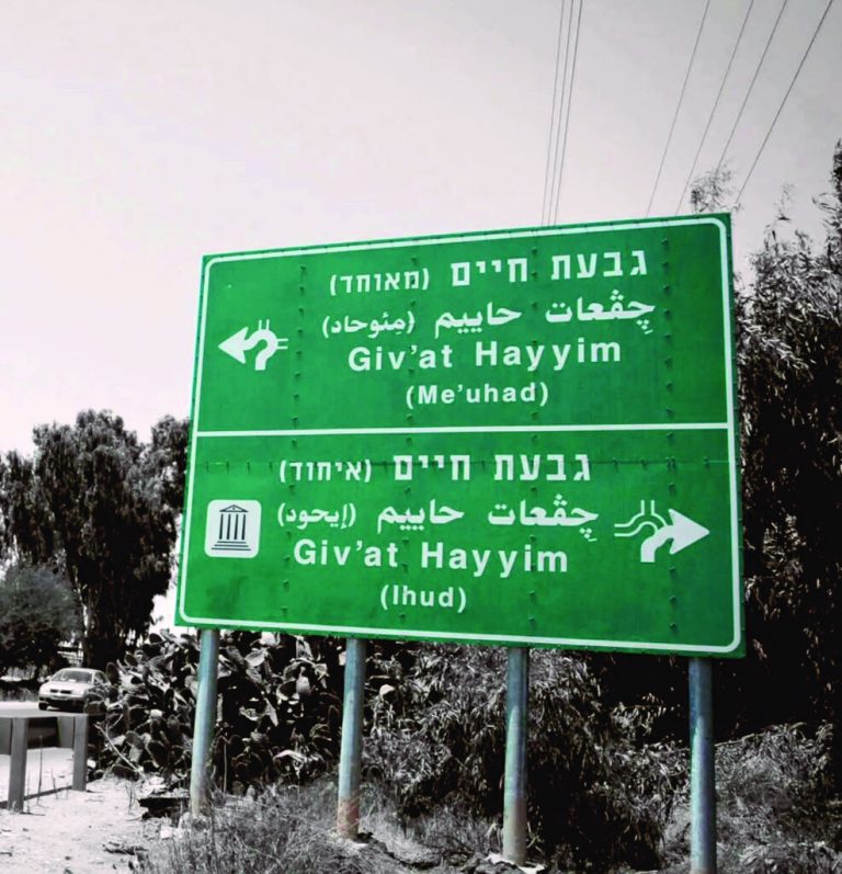 תמונה 2 image 1778766464 987x1024