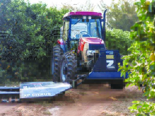תמונה3