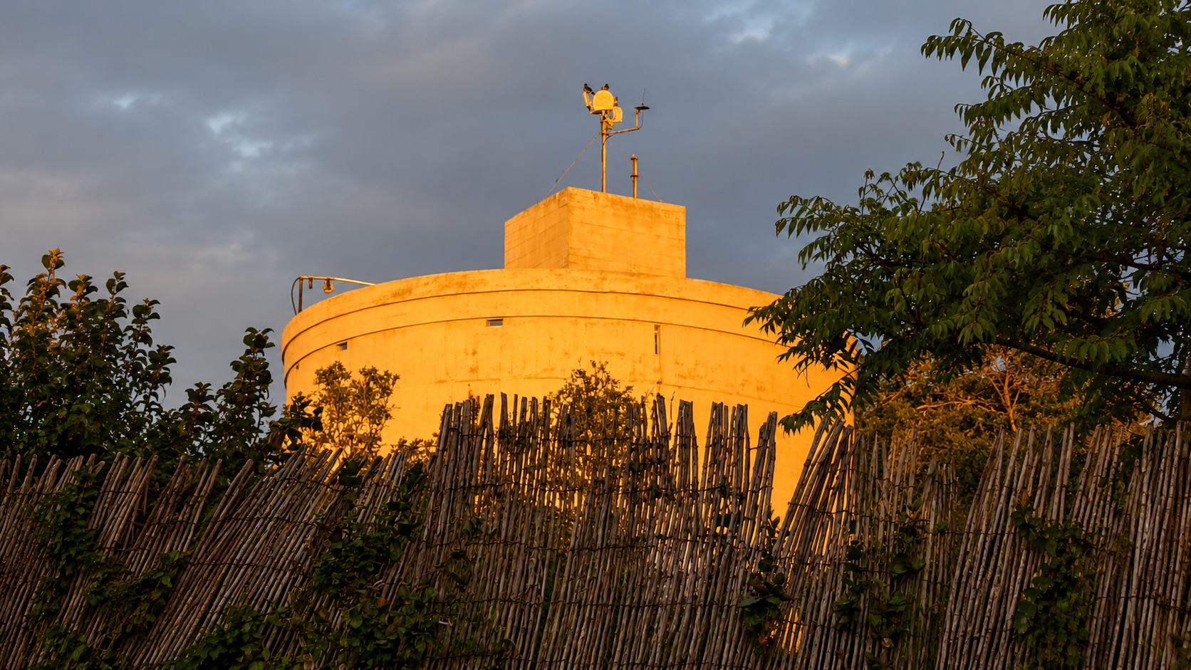 ChatGPT Image Jul 22, 2026, 11 54 32 AM