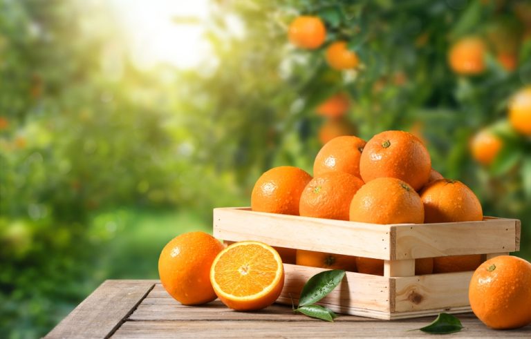 shutterstock 2284868743