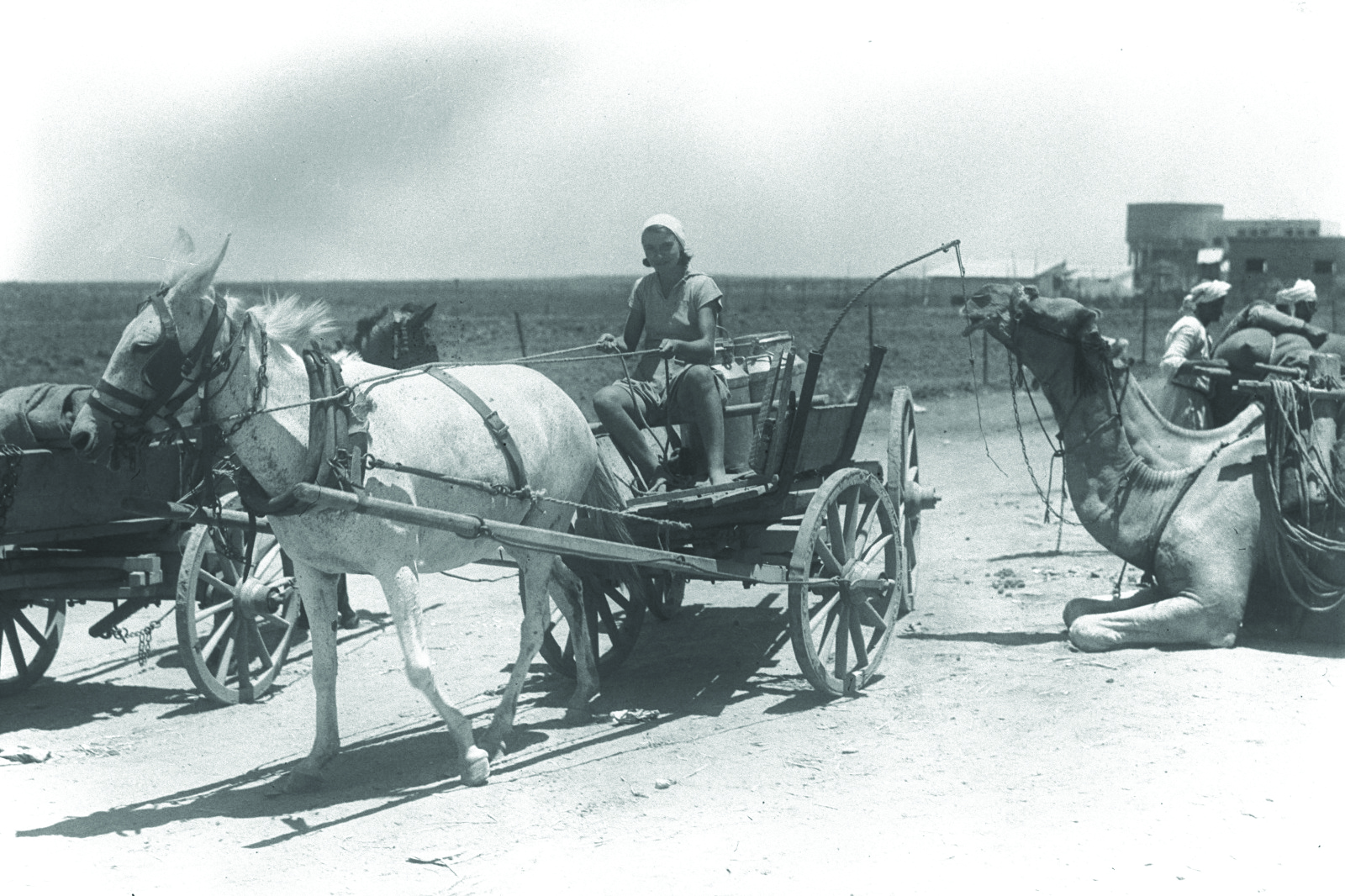 הדסה בוצ'לין בת ה 15 מובילה חלב. לידה שיירת גמלים שהביאה חומרי בנייה עבור בתים בהרחבה. 1935. מארכיון המושב.