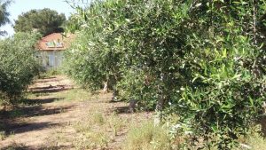 למרבה המזל, מספיקה לרוב רק סיבה אחת טובה שתצדיק התפייסות. הסיבה היא משפחה
