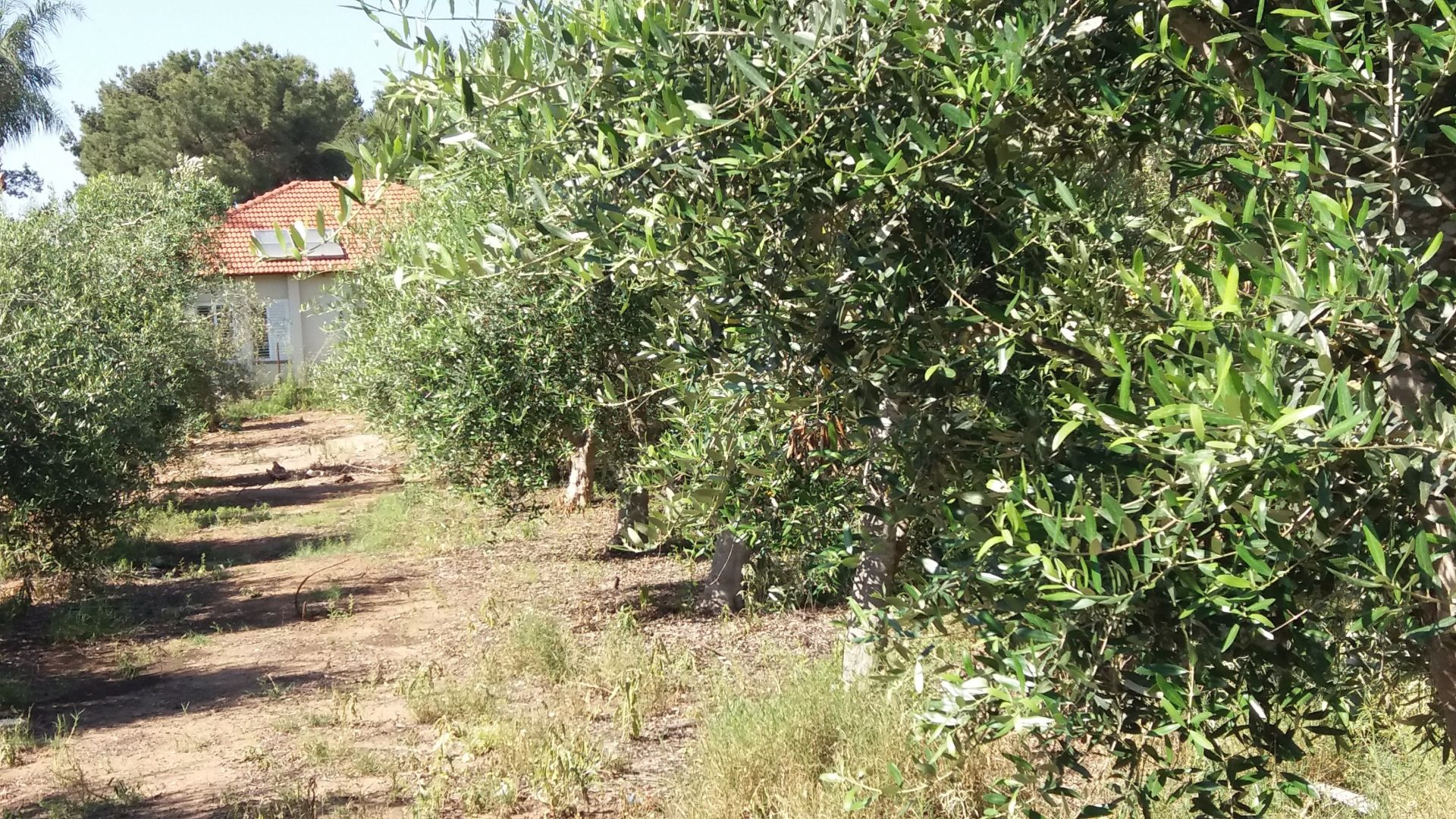 למרבה המזל, מספיקה לרוב רק סיבה אחת טובה שתצדיק התפייסות. הסיבה היא משפחה