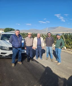 מימין לשמאל יחזקאל, נווה, יעקב ומגדלי חלקת טנגו