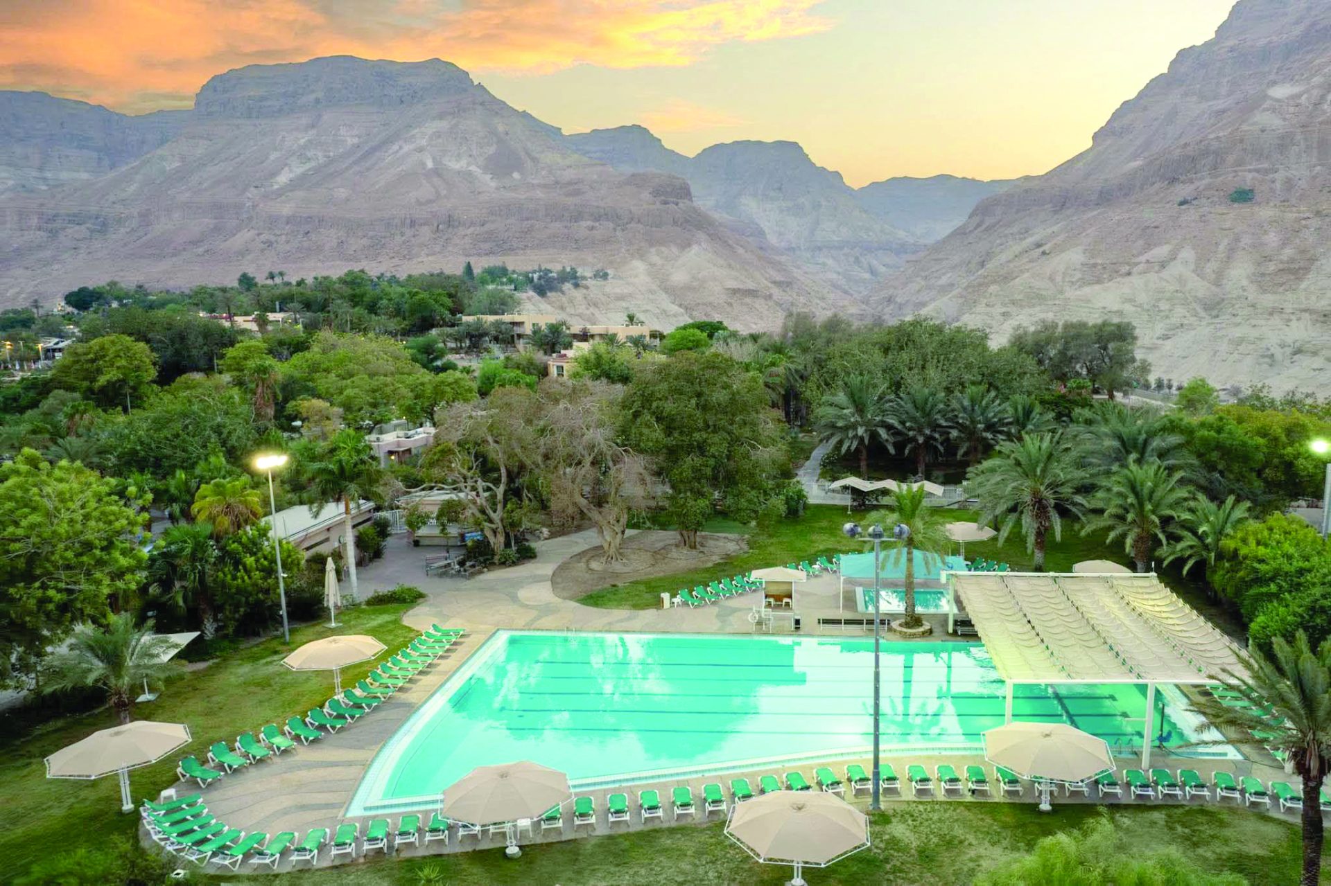 תמונה 3 ein gedi
