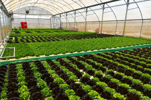 ChatGPT Image Aug 4, 2026, 02 44 14 PM