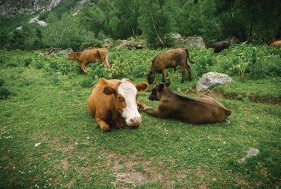 Picture36
