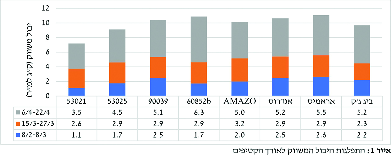 איור 1 (2)
