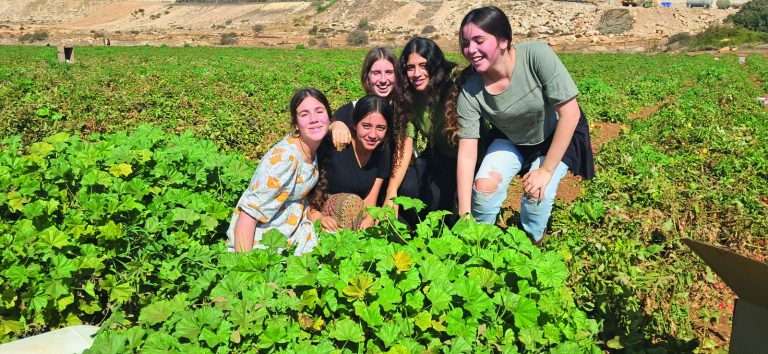 מתנדבות בארגון חיבורים לחקלאות