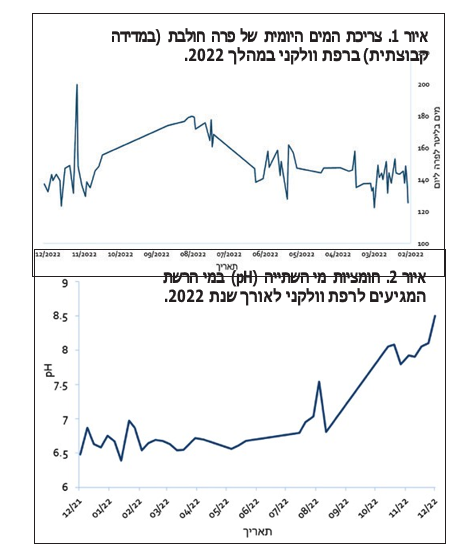 צילום מסך 2026 08 08 232307