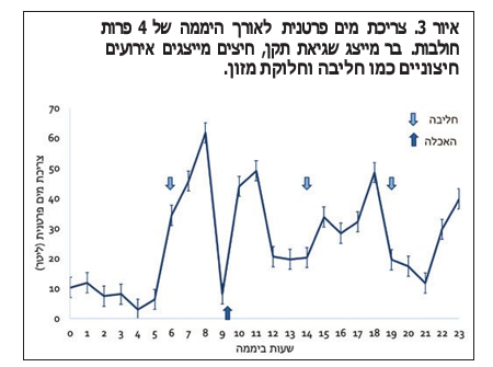 צילום מסך 2026 08 08 232400