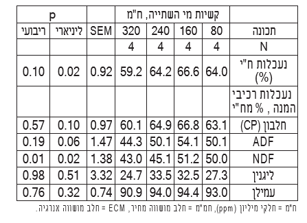צילום מסך 2026 08 08 232600