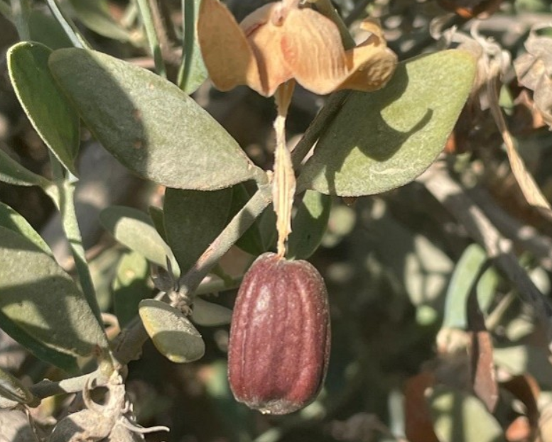 צילום מסך 2026 08 21 213242