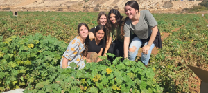 צילום מסך 2026 08 26 010523