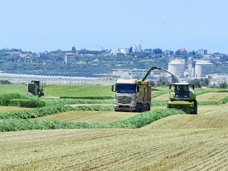 קציר במושבי הנגב צילום מושבי הנגב