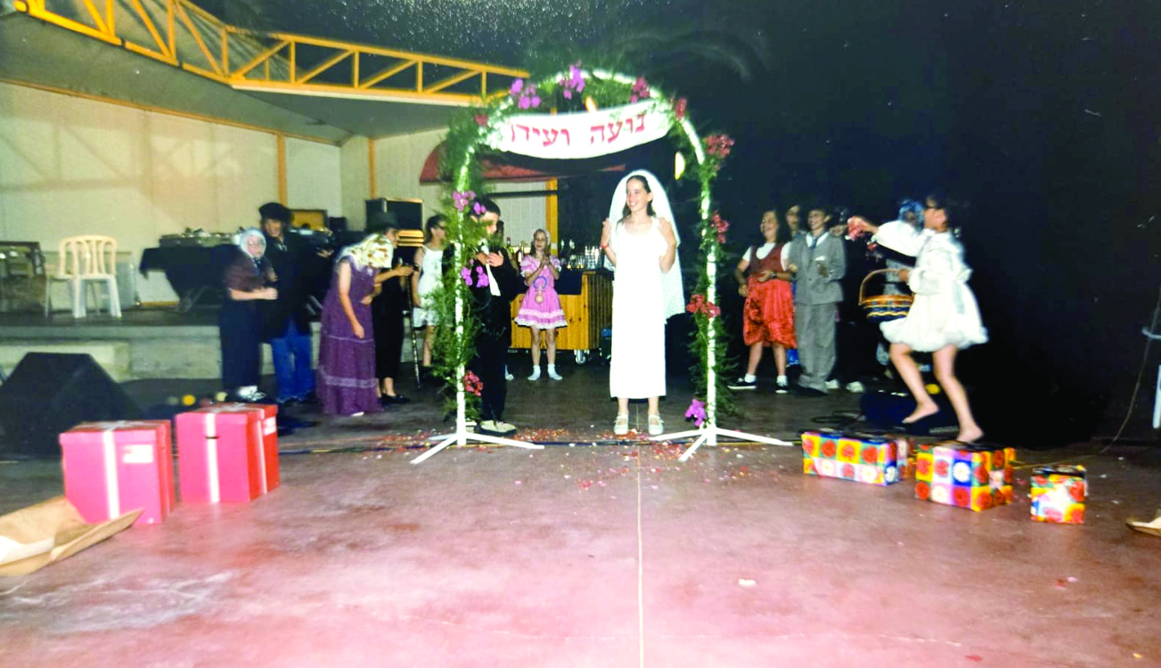 תמונה 12 dvir wedding