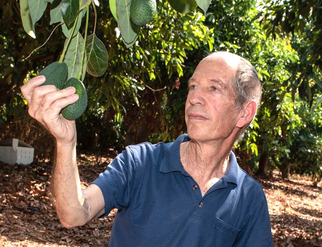 תמונה רפי1