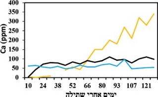 איור 4