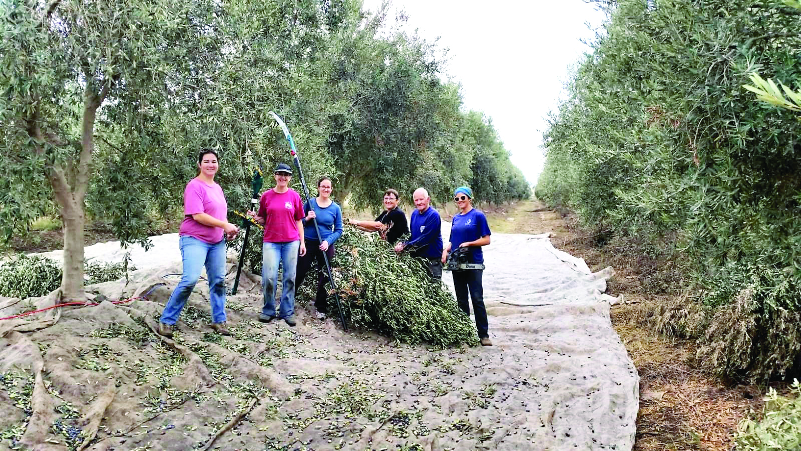 משפחת רויניק במסיק 4 אחיות עם אמא אסתר ואבא שמעון זל