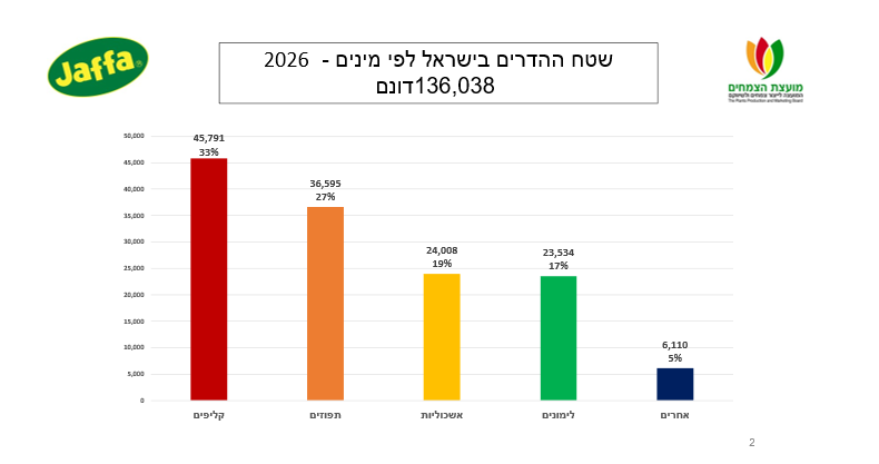 צילום מסך 2026 09 07 182106