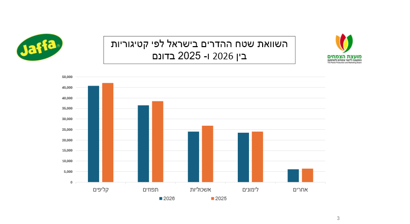 צילום מסך 2026 09 07 182126