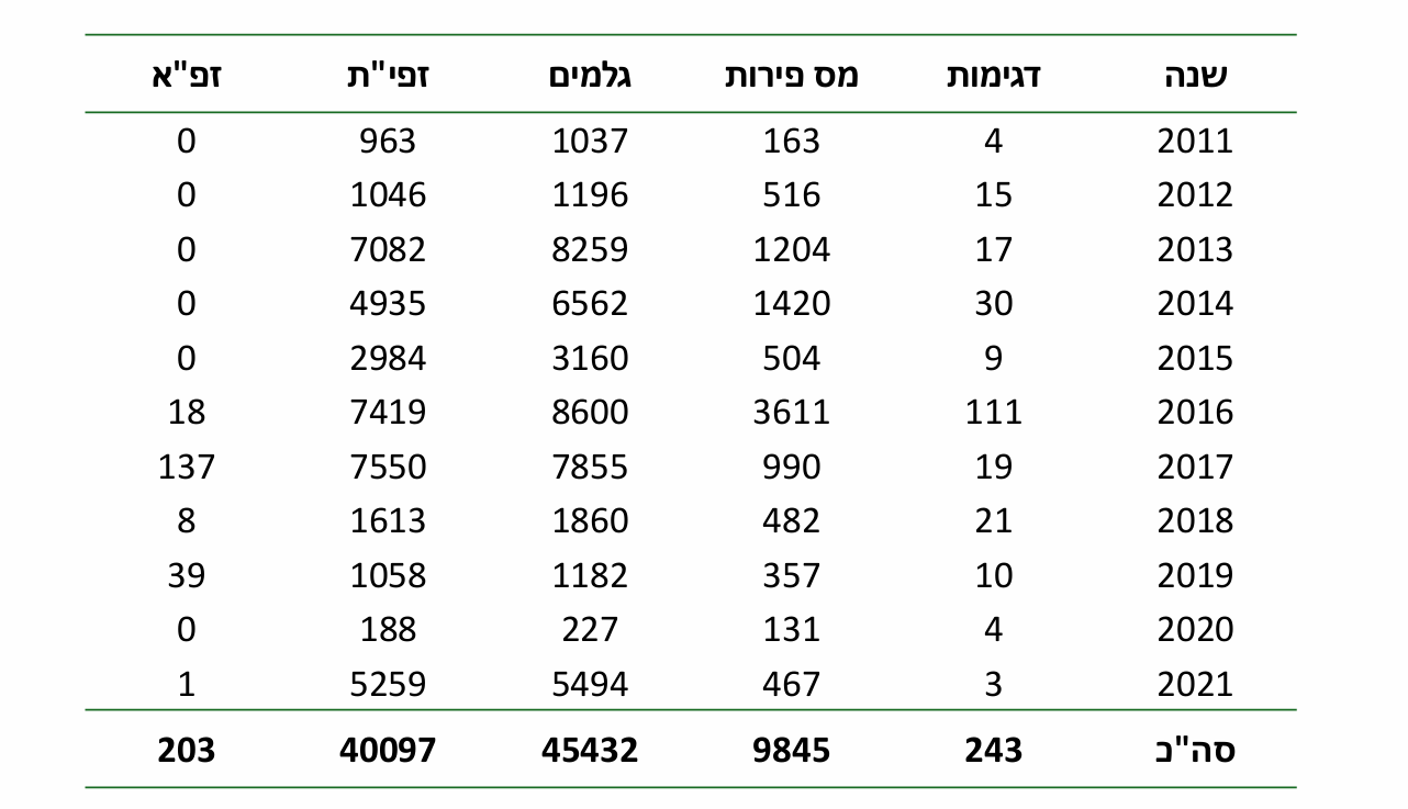 צילום מסך 2026 09 08 011039