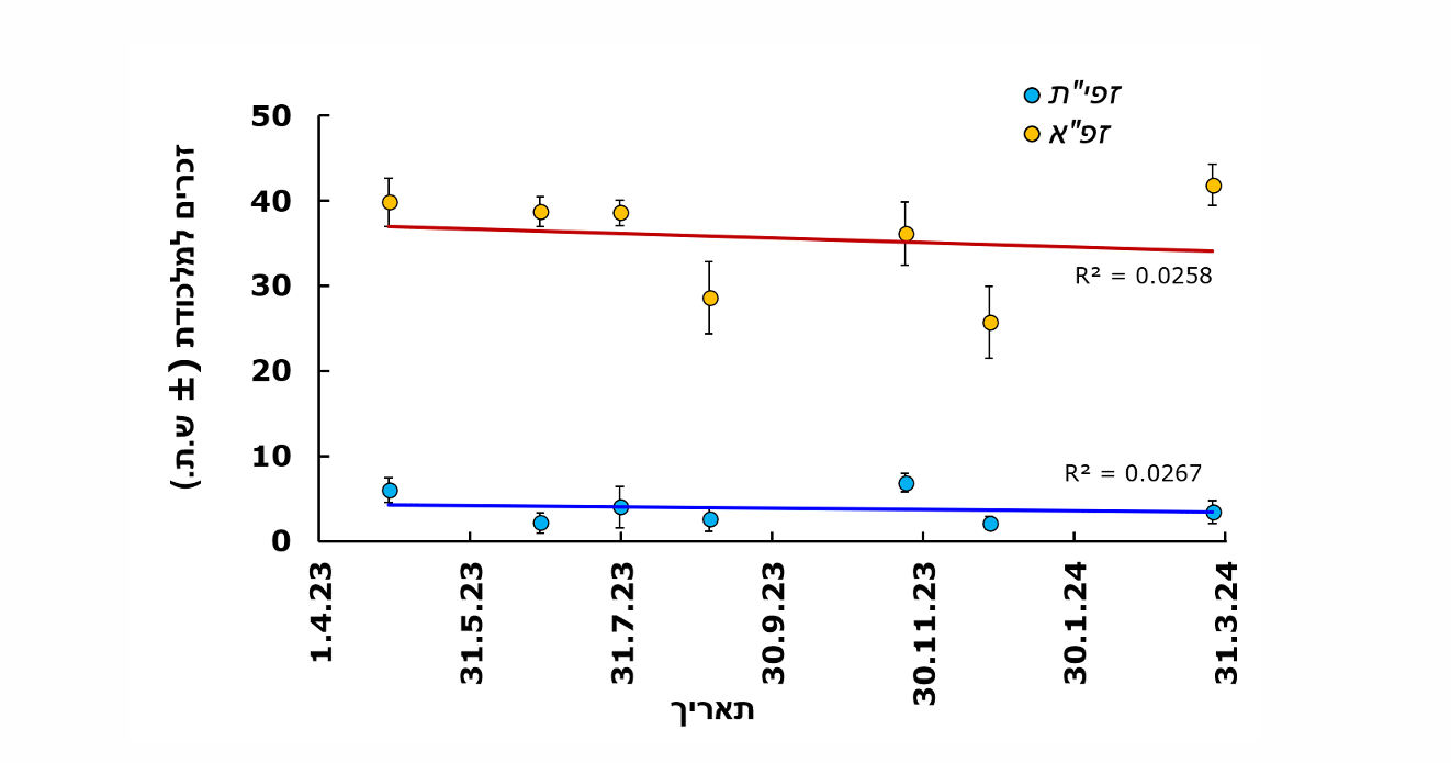 צילום מסך 2026 09 08 011629