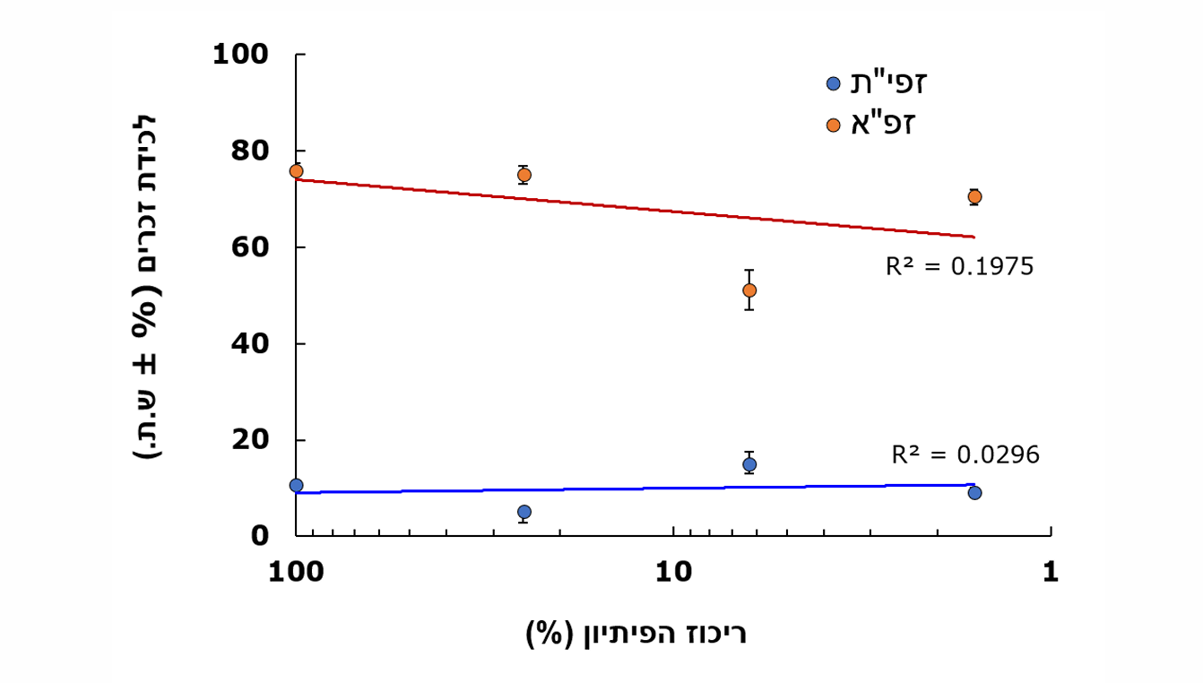 צילום מסך 2026 09 08 011656