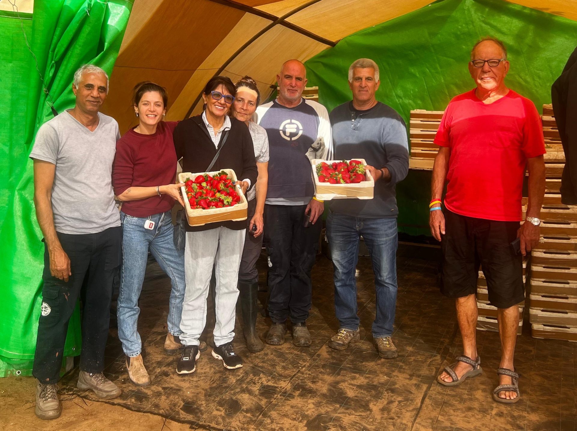 תמונה ניר2