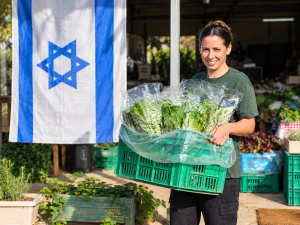 Fresh Produce at an Israeli Market