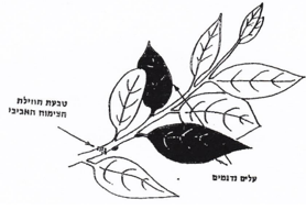 Picture2