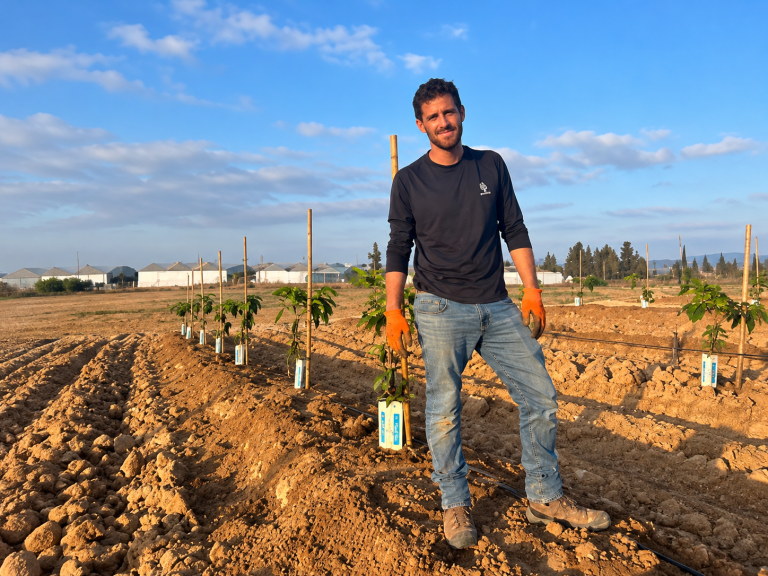 Young Farmer in a Sapling Orchard