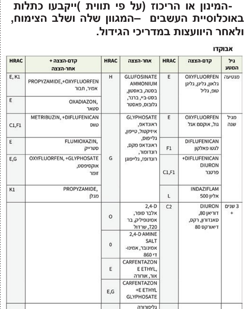 טבלה אבוקדו