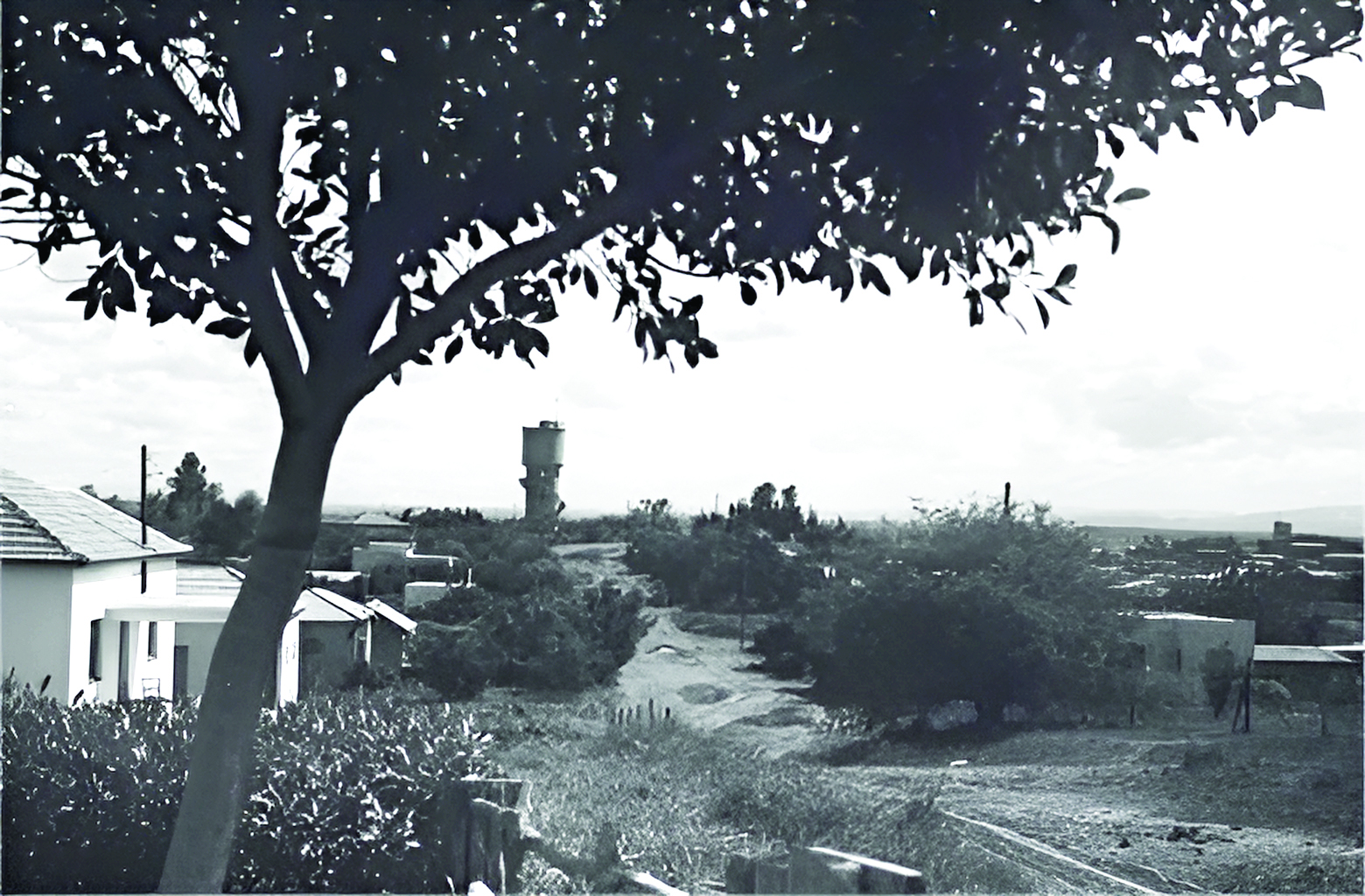 כפר חיים יוני 1947 צילום לזר דינר ארכיון מושב כפר חיים דרך ארכיון קקל